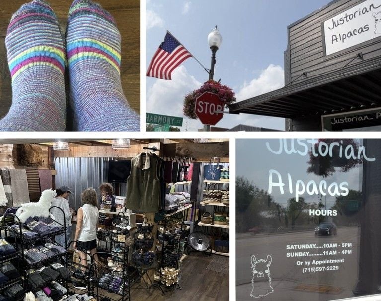 Alpacas Near Eau Claire WI: Meet These Friendly Animals and Visit the Farm Store 5 A four photo collage starting on the top left with a close up photo of two feet in striped socks of bright pink, lime green, and turquoise, then an outside photo of the Justorian Alpacas store with a US flag waving on the light pole, then an inside photo of the store showing two women at the checkout register surrounded by racks of socks and various alpaca yarn items, and finally a close up of the door showing the store hours of Saturday from 10-5 or Sunday from 11-4 or by appointment.