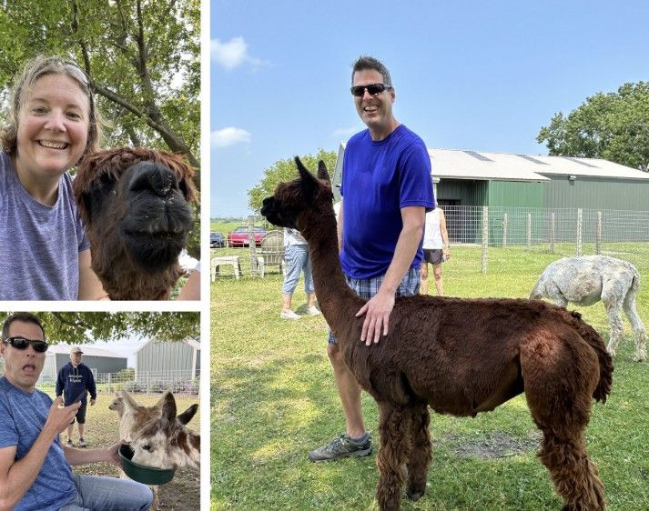 Alpacas Near Eau Claire WI: Meet These Friendly Animals and Visit the Farm Store 4 A three photo collage of us with alpacas starting in the top left with a selfie of Angie with a dark brown alpaca, then a full-length photo of Jeff standing next to and petting a dark brown alpaca, and finally a photo of Jeff feeding an alpaca with a shocked expression on his face with farm owner, Jerry in the background.