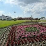 Ultimate Things to Do in Shipshewana Guide Shipshewana FEATURED Image 800 x 600 80q 132kb