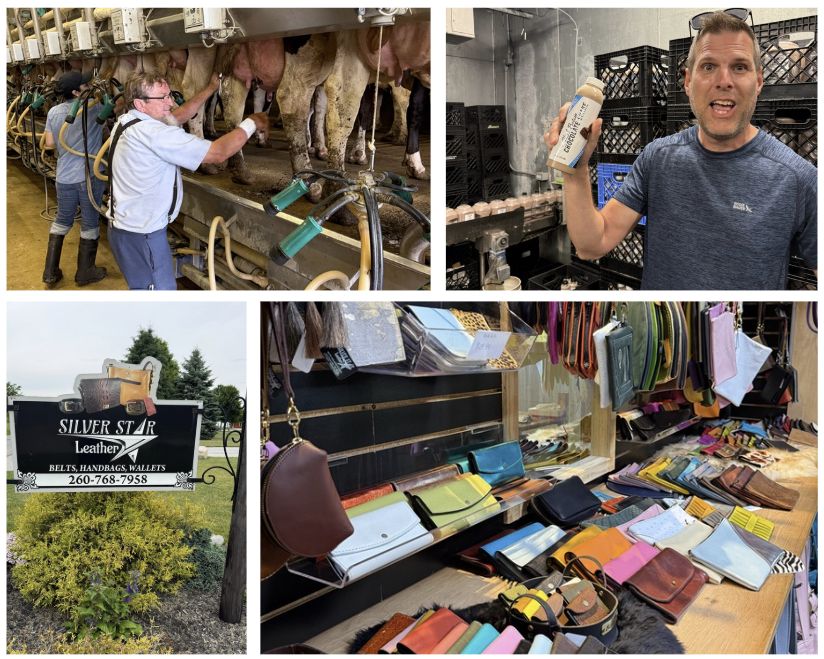 Ultimate Things to Do in Shipshewana Guide 4 Four-photo collage of Amish cottage industries near Shipshewana. Images show a working dairy farm where cows are being milked, Jeff holding a bottle of chocolate protein milk, the Silver Star Leather shop sign, and a colorful display of handcrafted leather purses, wallets, belts, and accessories.