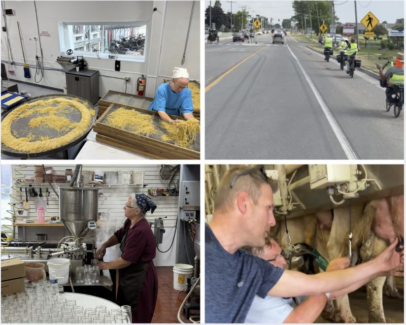 A four photo collage showing an Amish woman making the famous Amish noodles, bikes, cars, and a horse buggy sharing a road, an Amish woman making jam, and Jeff learning to milk a cow from an Amish man.
